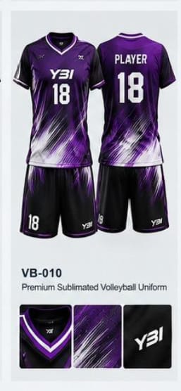 VB 10